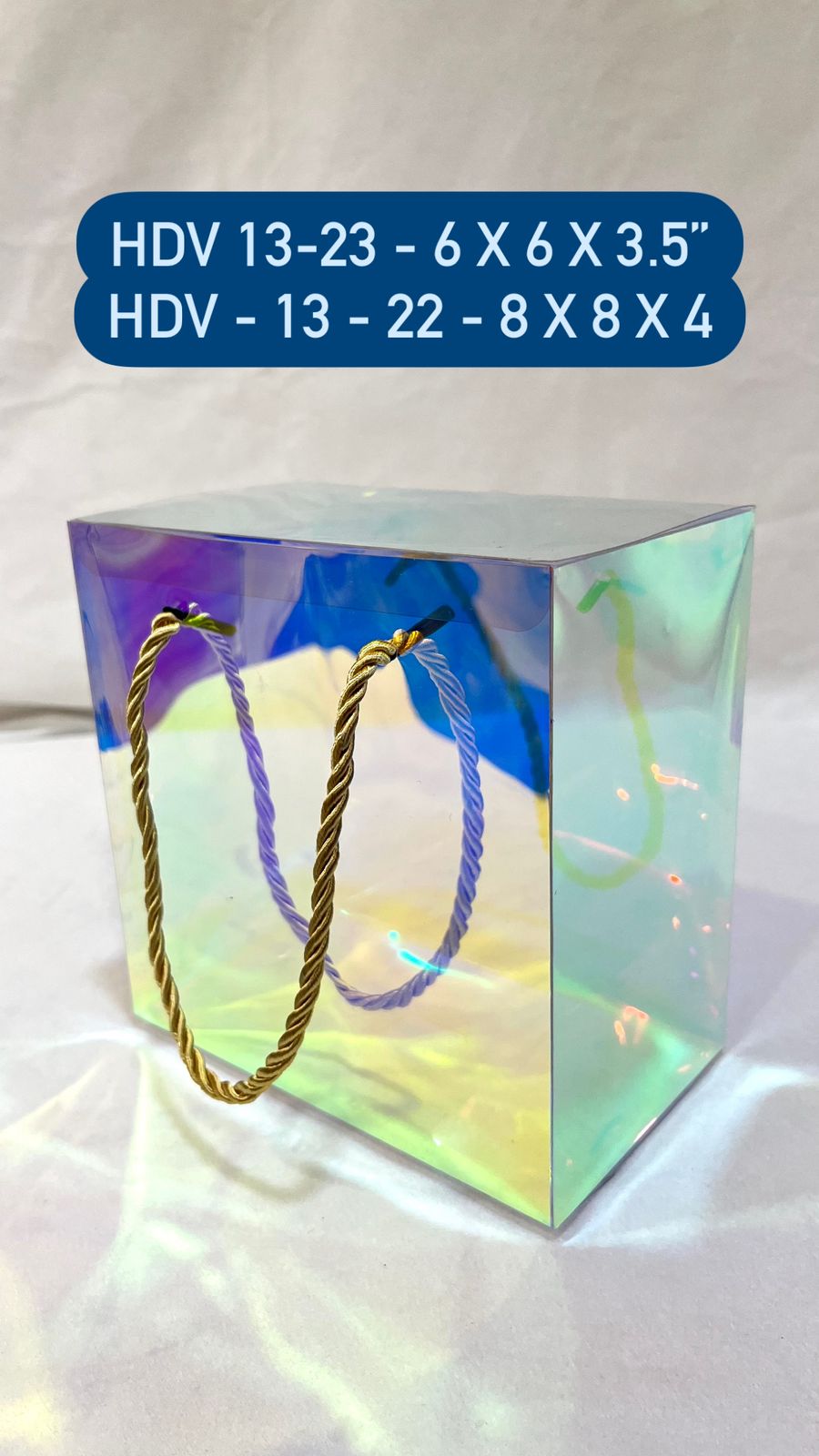 Holographic Gift Bag