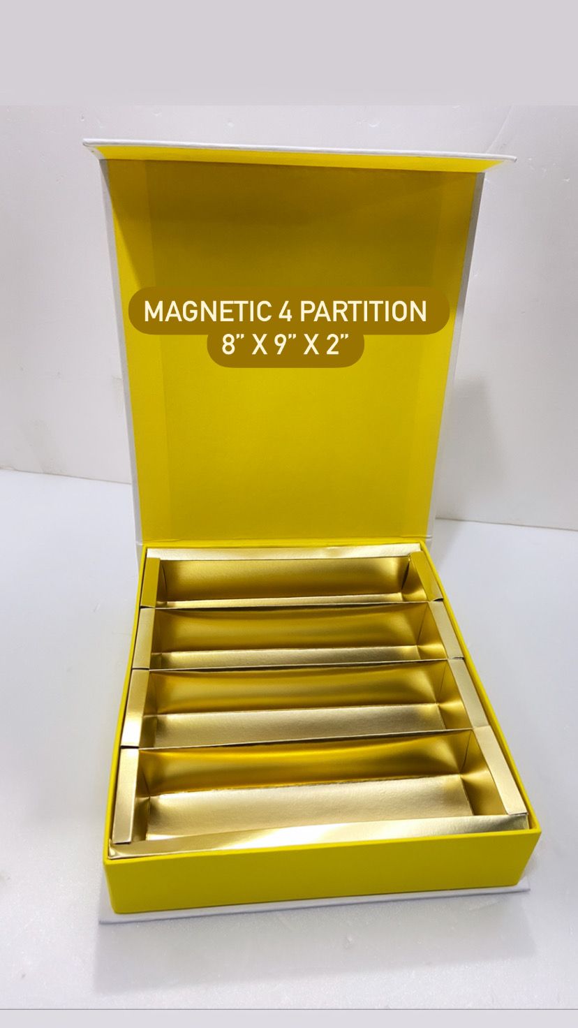 Magnetic 4 Partition Box