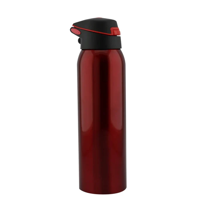 Termo Acero Inoxidable 