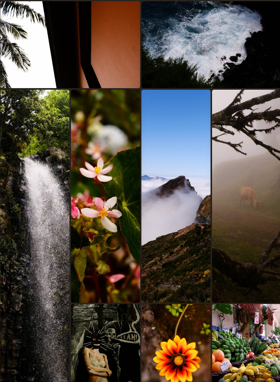 Madeira Guide