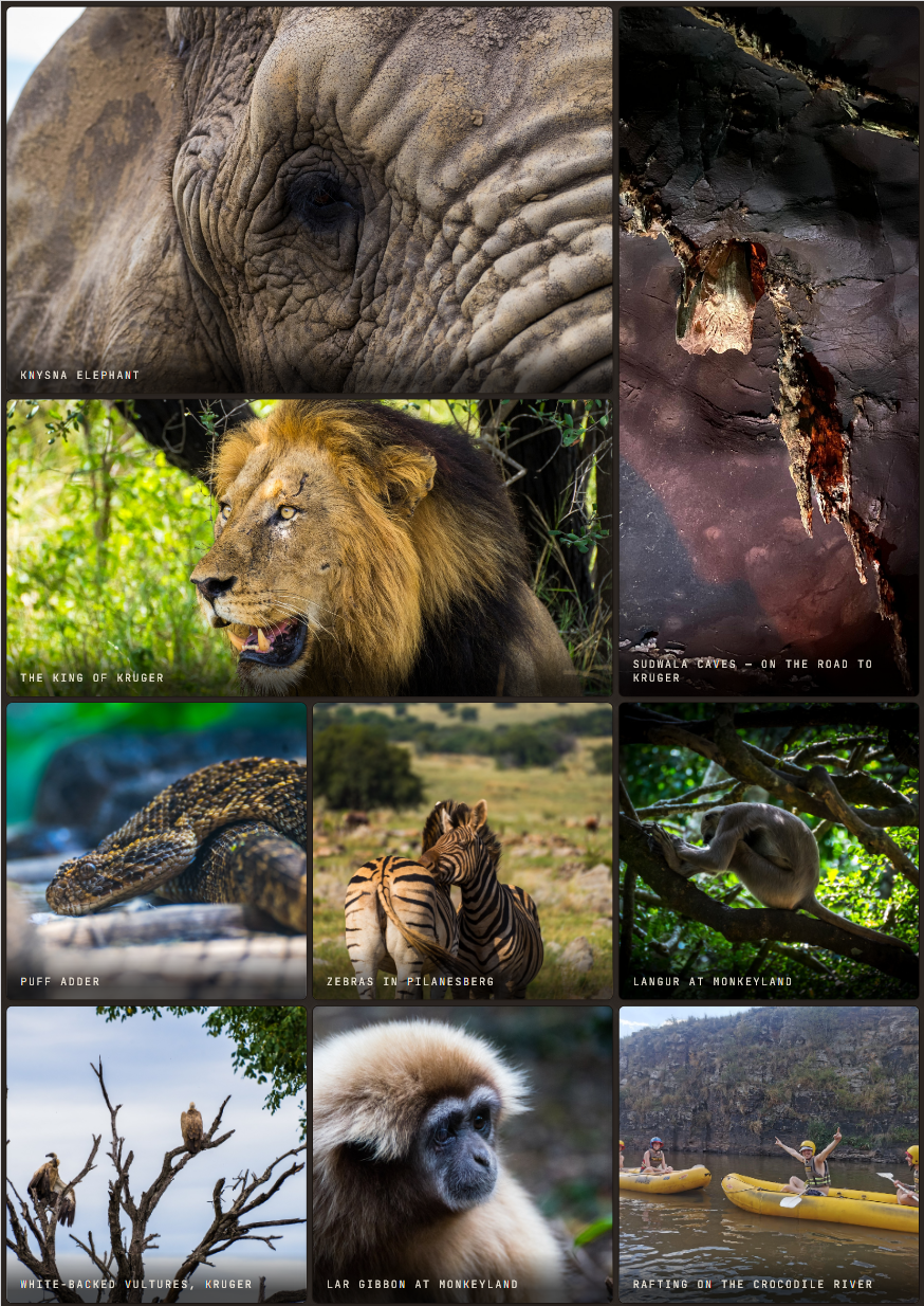 South Africa Guide