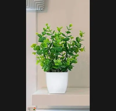 White Plastic Plant Planter – Modern Decorative Flower Pot for Home & Office Decor in Pakistan | Lureena