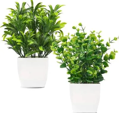 White Plastic Plant Planter – Modern Decorative Flower Pot for Home & Office Decor in Pakistan | Lureena