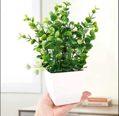 White Plastic Plant Planter – Modern Decorative Flower Pot for Home & Office Decor in Pakistan | Lureena