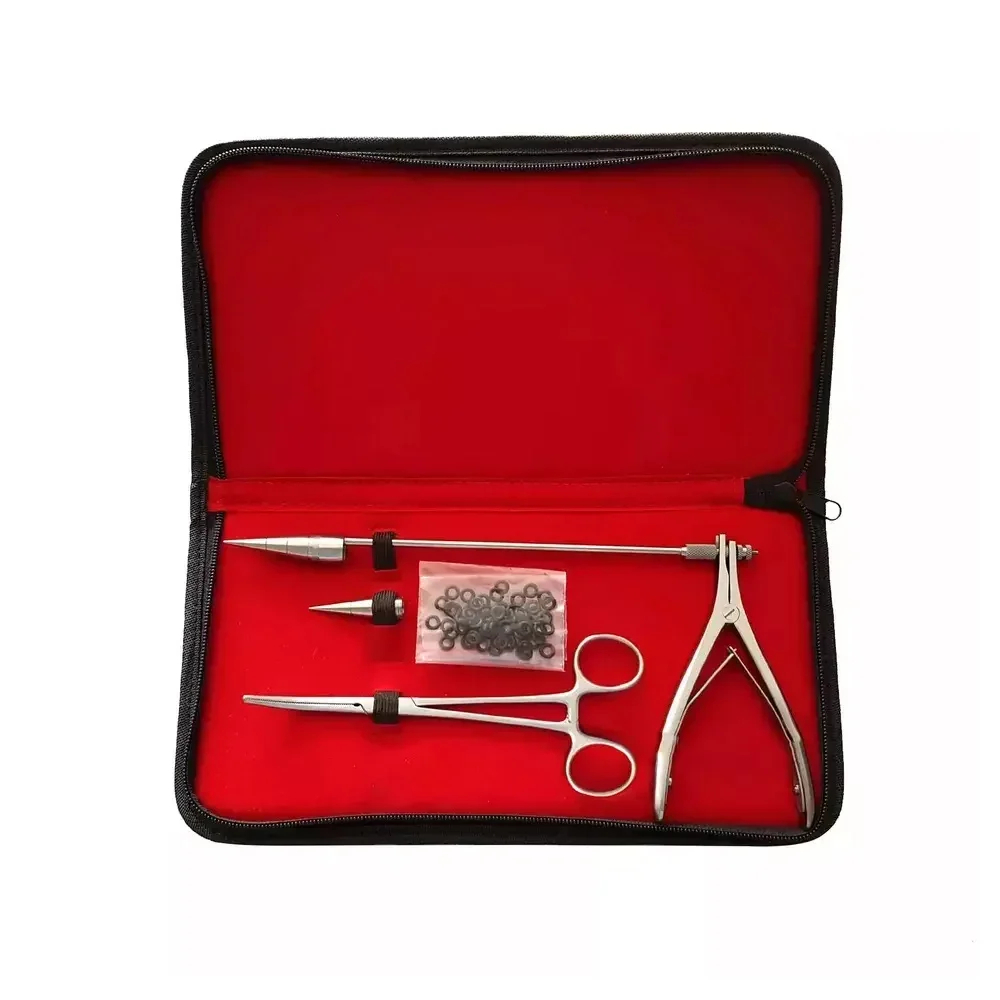 Professional Ear Piercing Kit