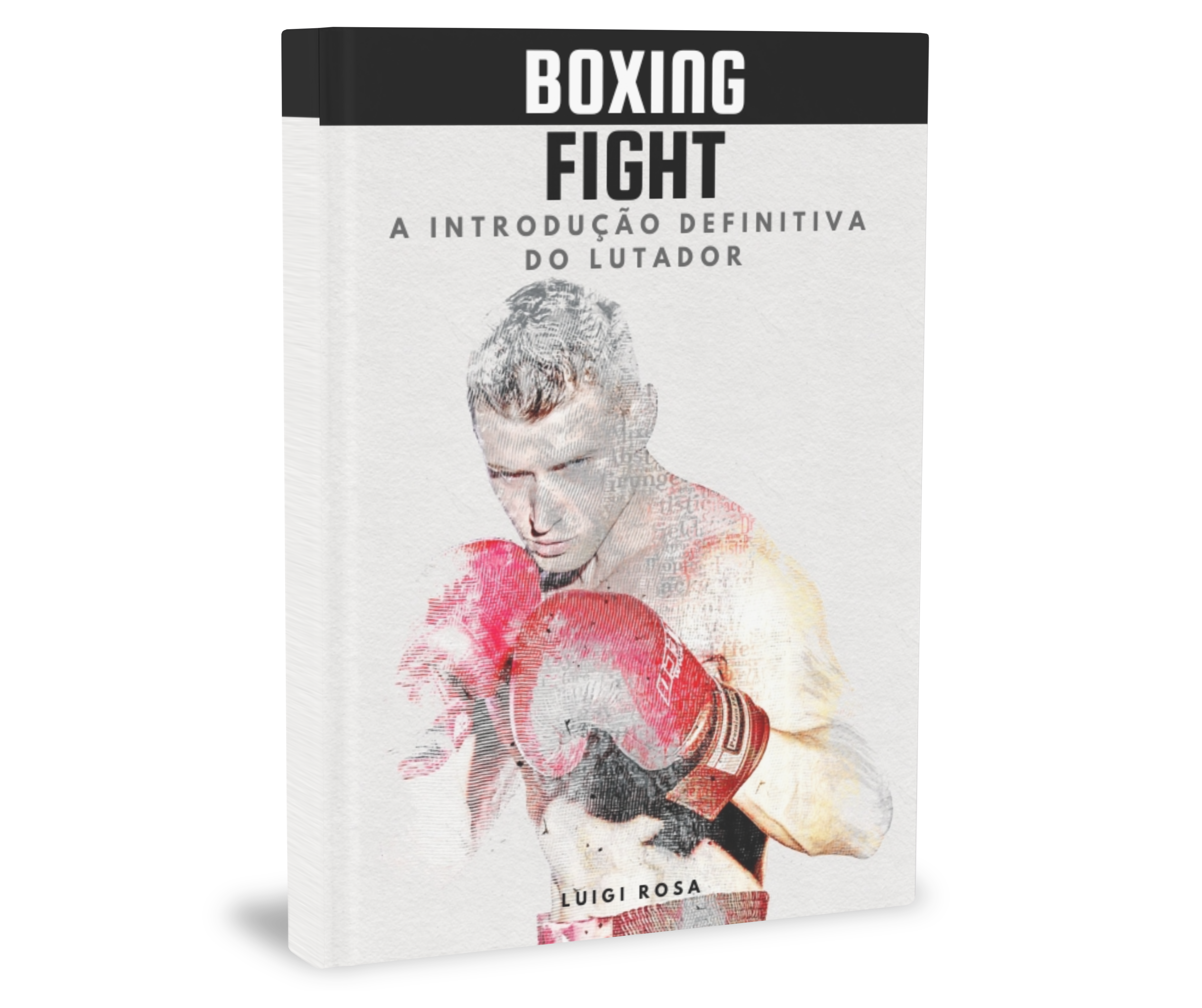 Boxing Fight