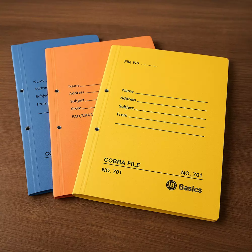 File Folders (Spring file )