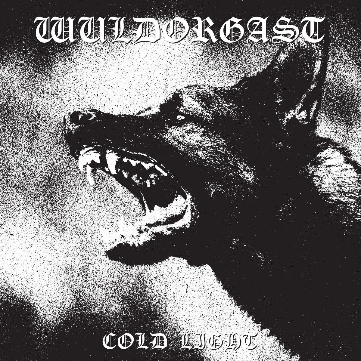 Wuldorgast - Cold Light