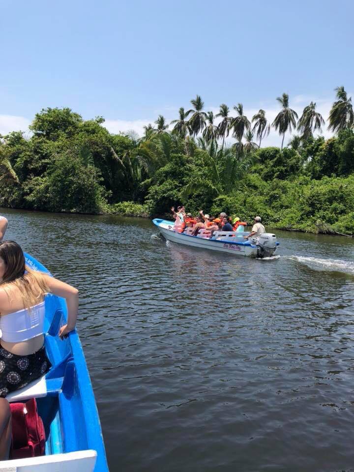 Manglares Jungle