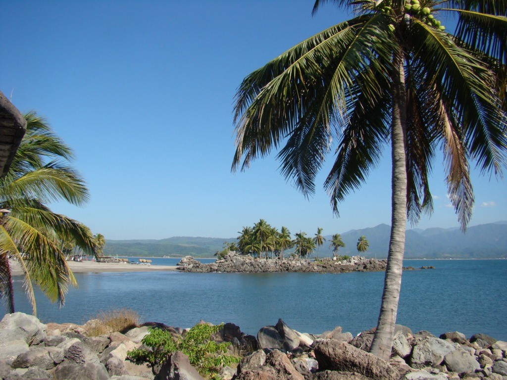Manglares Jungle