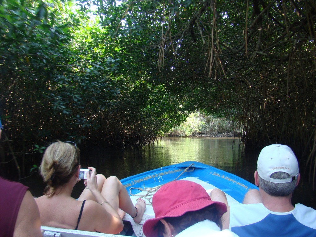Manglares Jungle