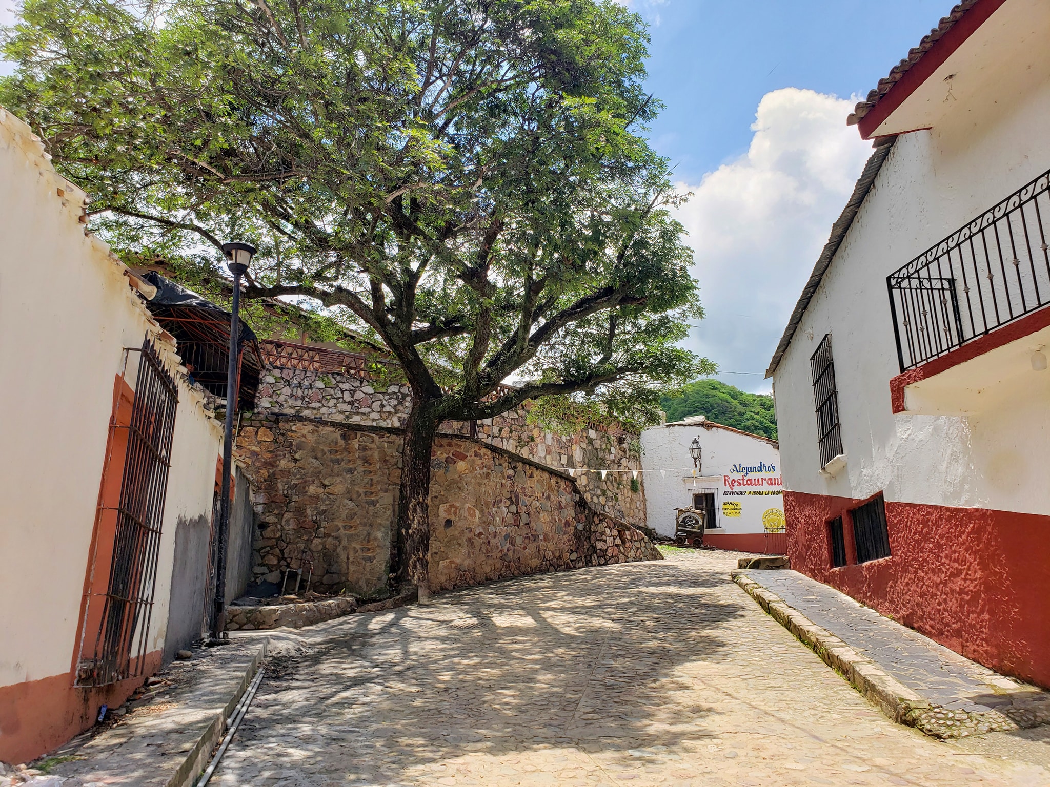 Copala Colonial