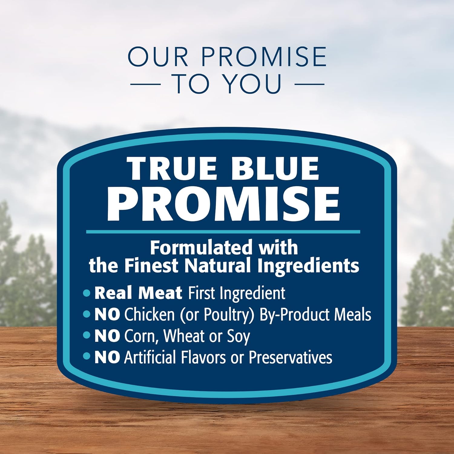 Blue Buffalo Wilderness Paté Variety Pack (Chicken, Salmon, and Duck) Adult Wet Cat Food, High-Protein & Grain-Free Recipes