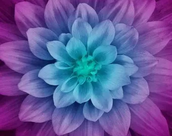 Dahlia Custom Quilt