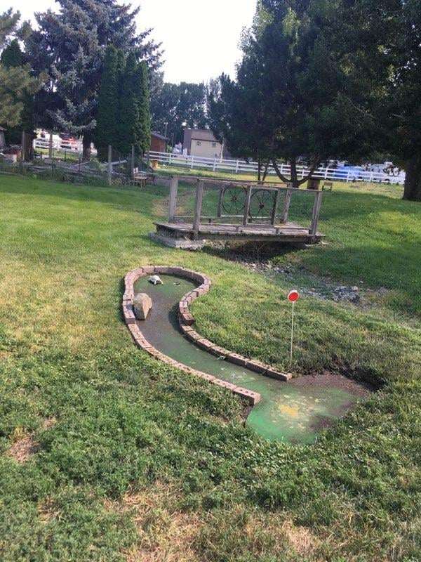 Round of Fun