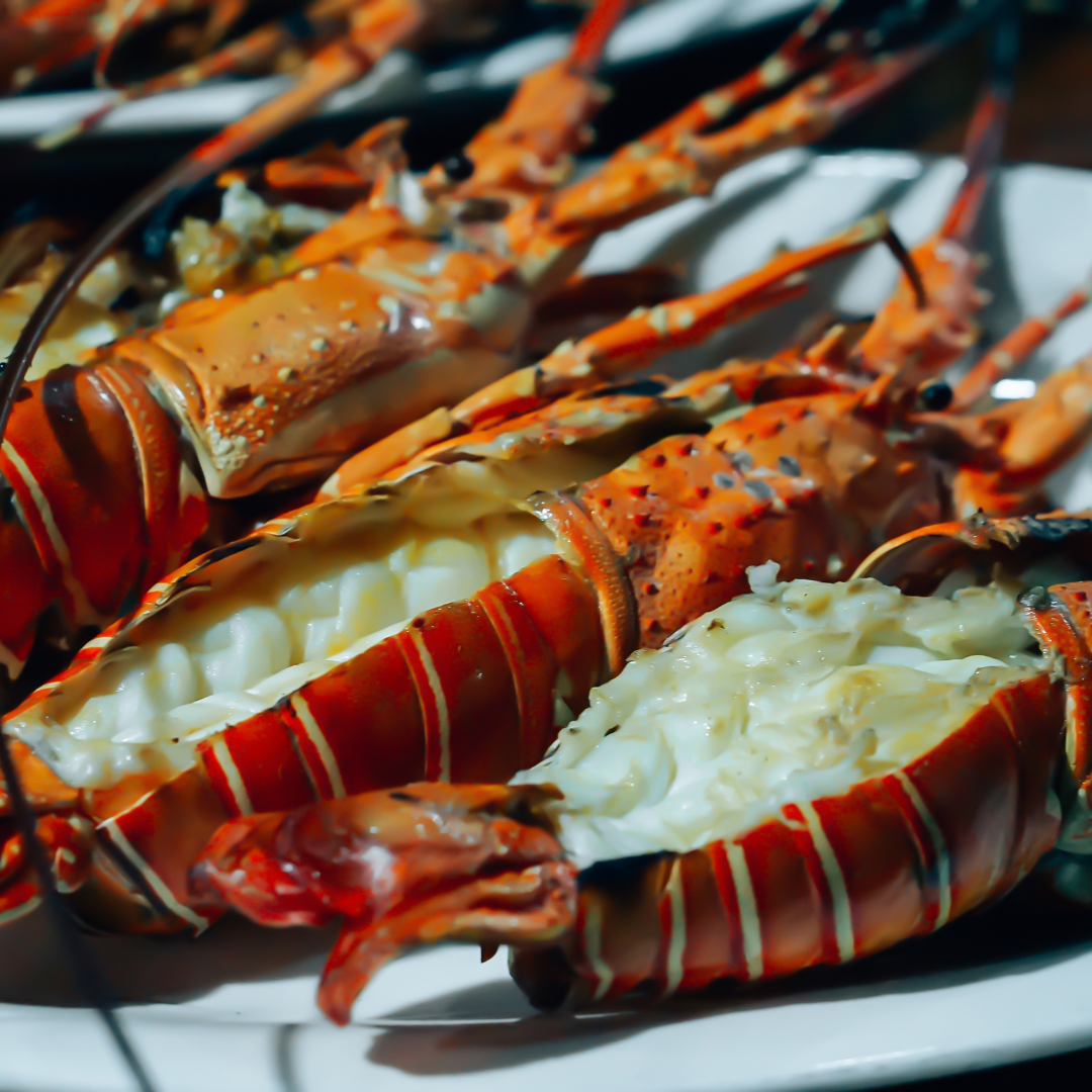 Lobster from Madagascar & Mauritius