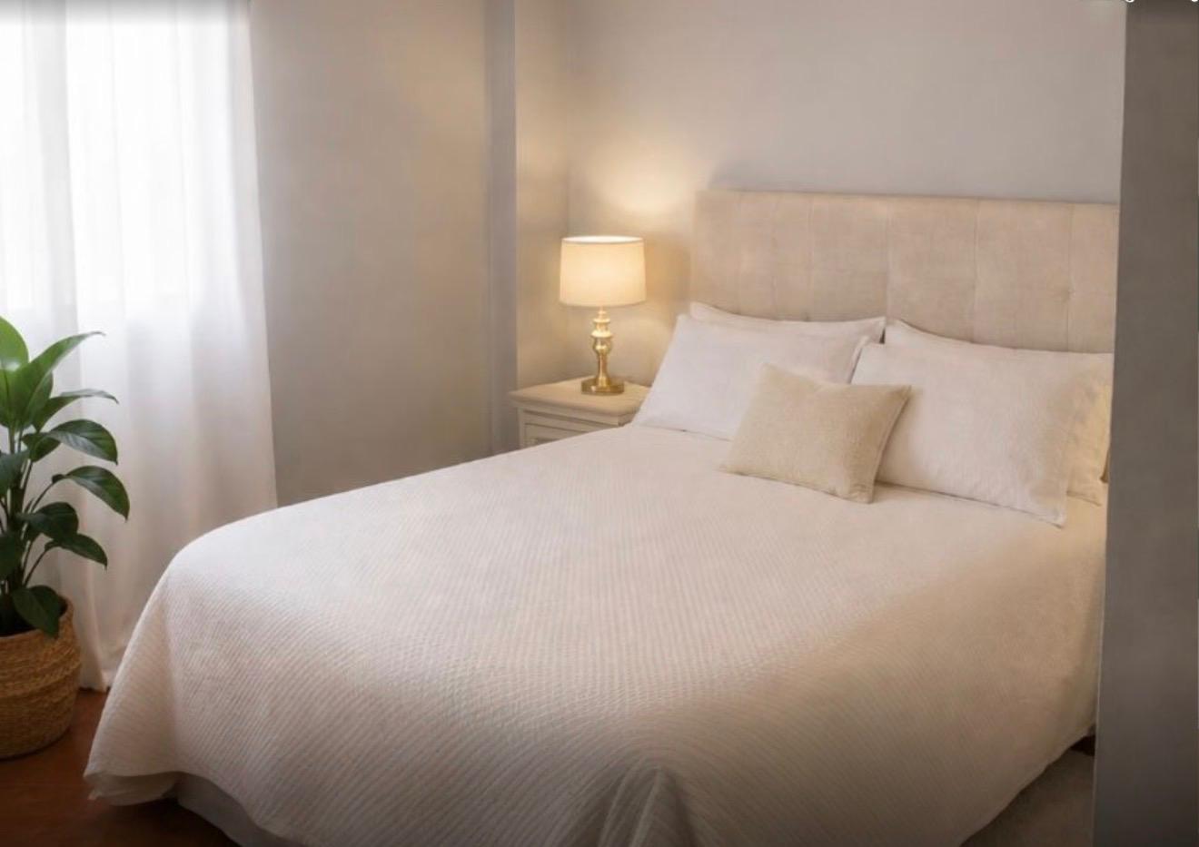 Piso de 3hb en el centro de Málaga / PRECIO 365.000€