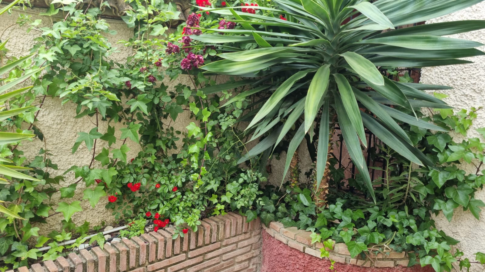 Chalet en venta 📍 Fuente del Rio
