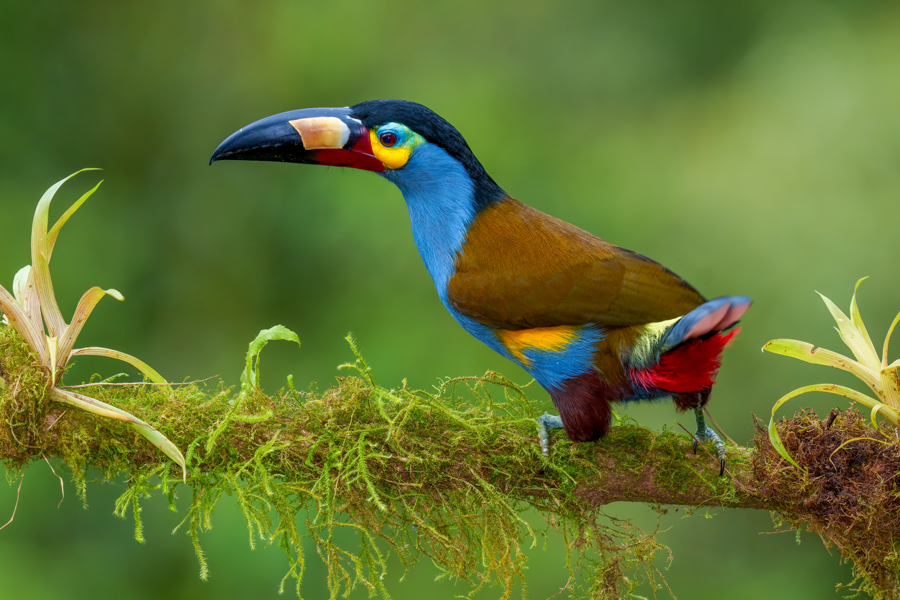 Fotografie reis Ecuador