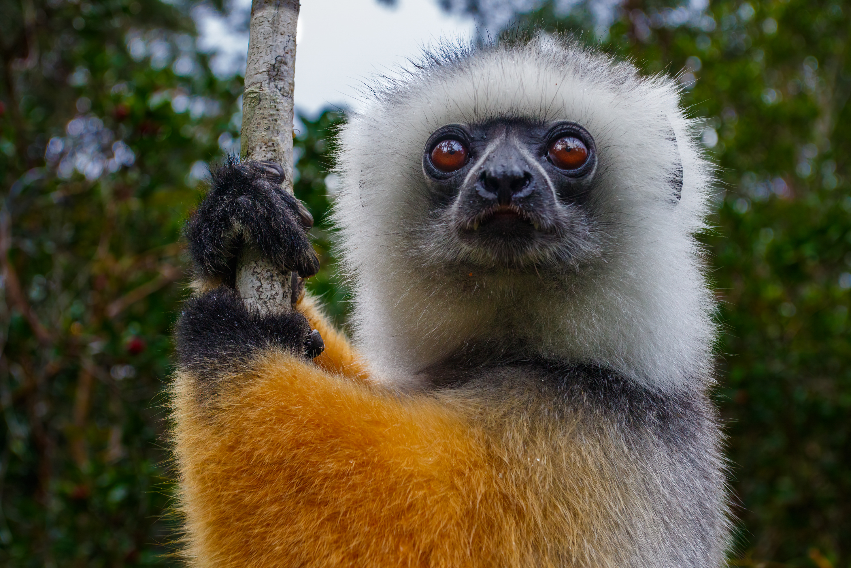 Fotografie reis Madagaskar