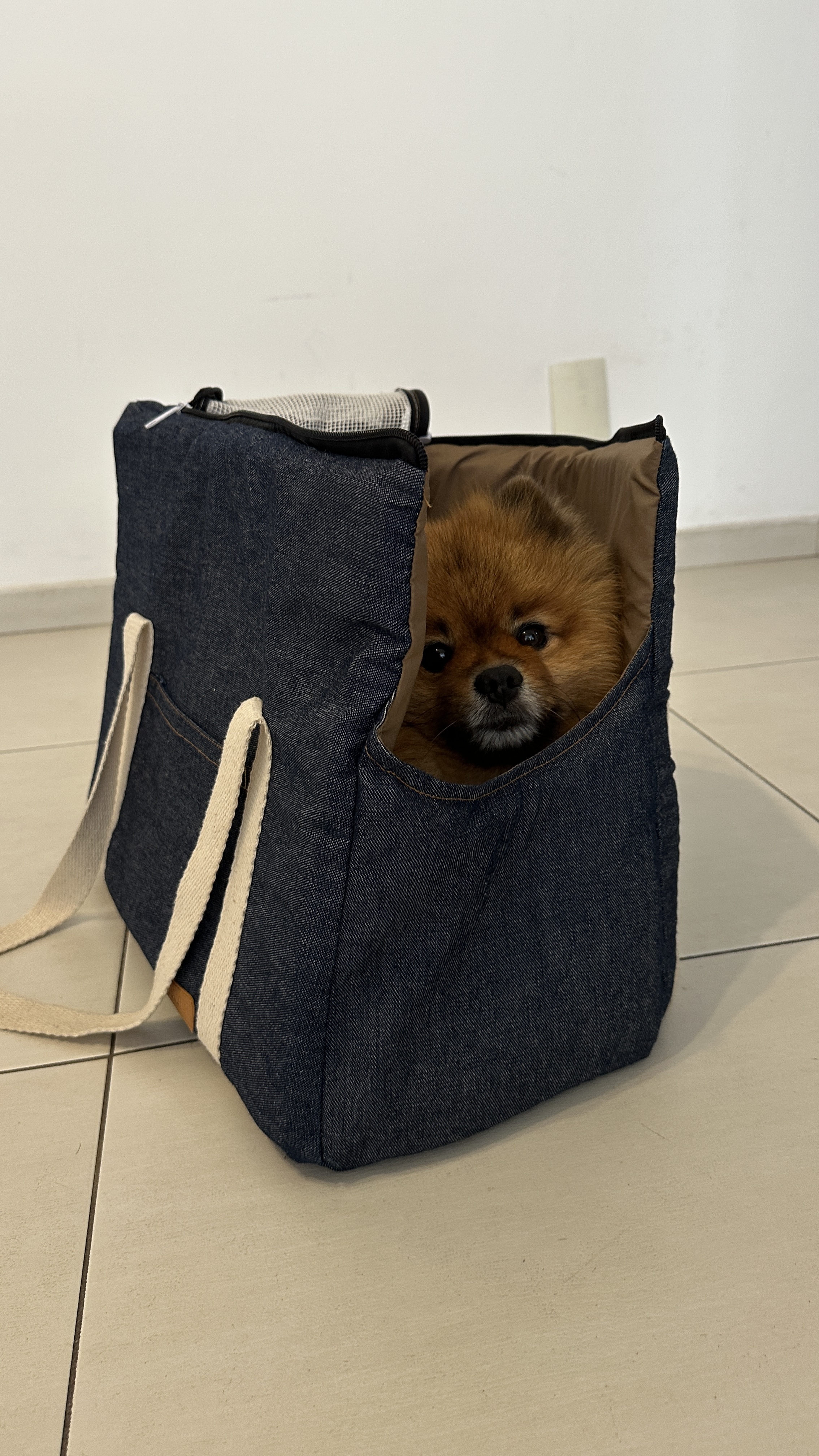 BOLSA TRANSPORTE  CACHORRO PEQUENO - PITOCO FICA