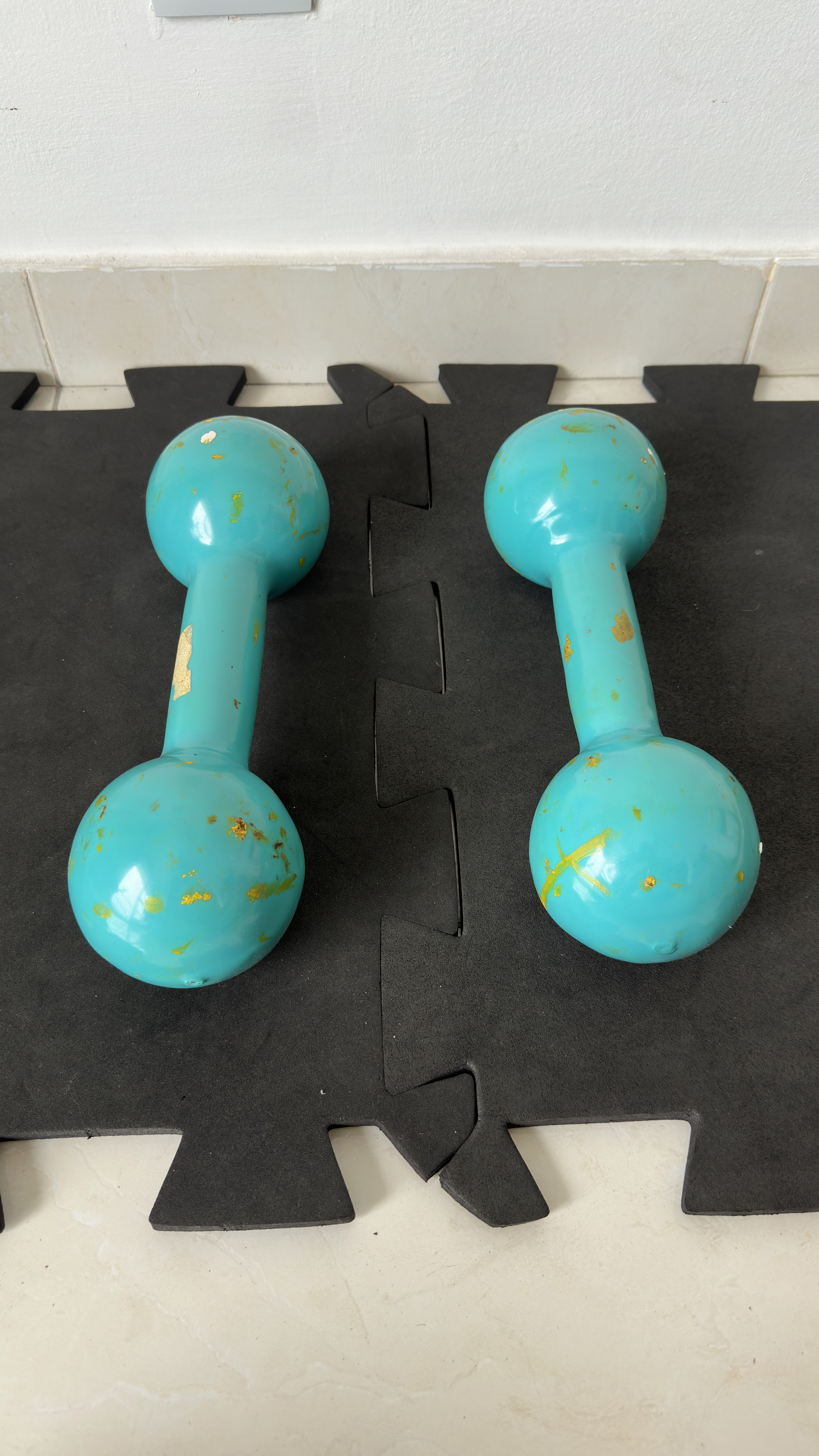 PAR HALTER 6KG - ACADEMIA