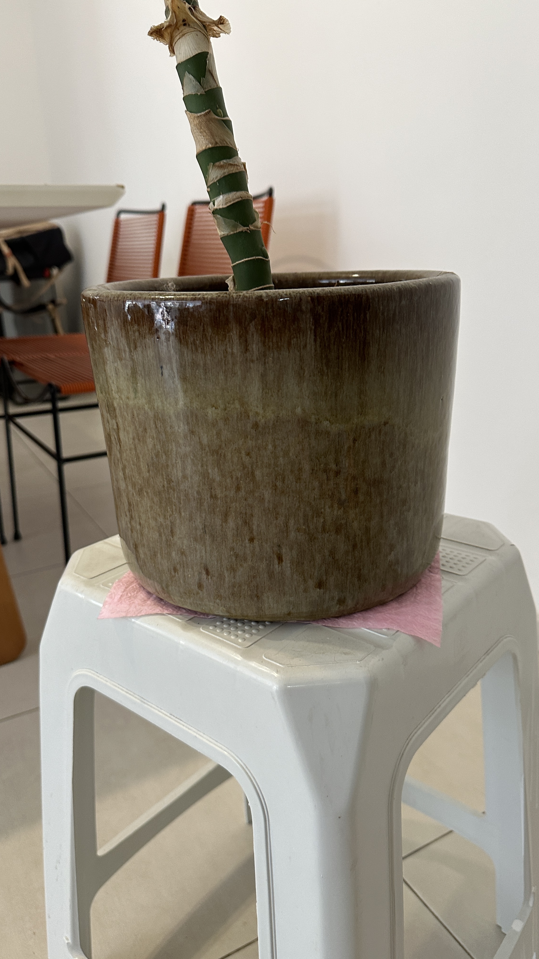 VASO DE PLANTA CERÂMICA
