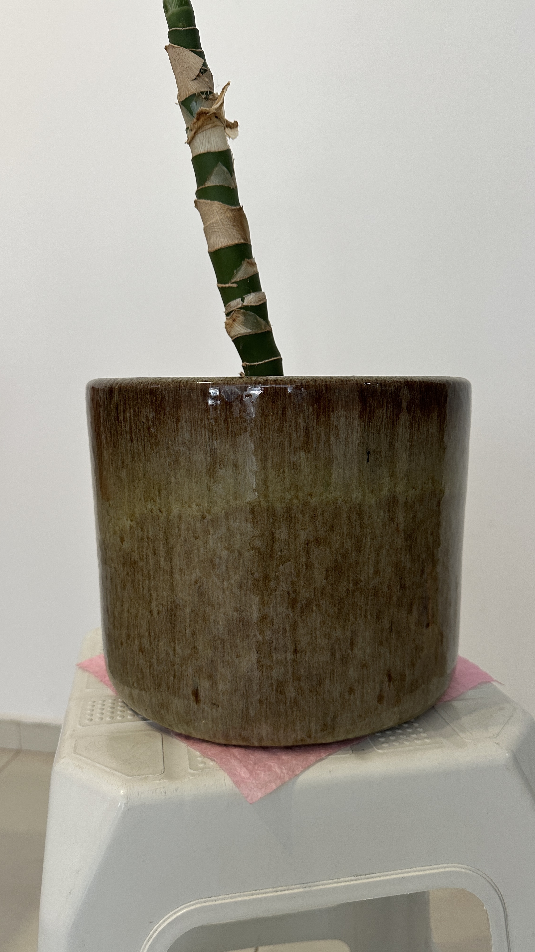 VASO DE PLANTA CERÂMICA