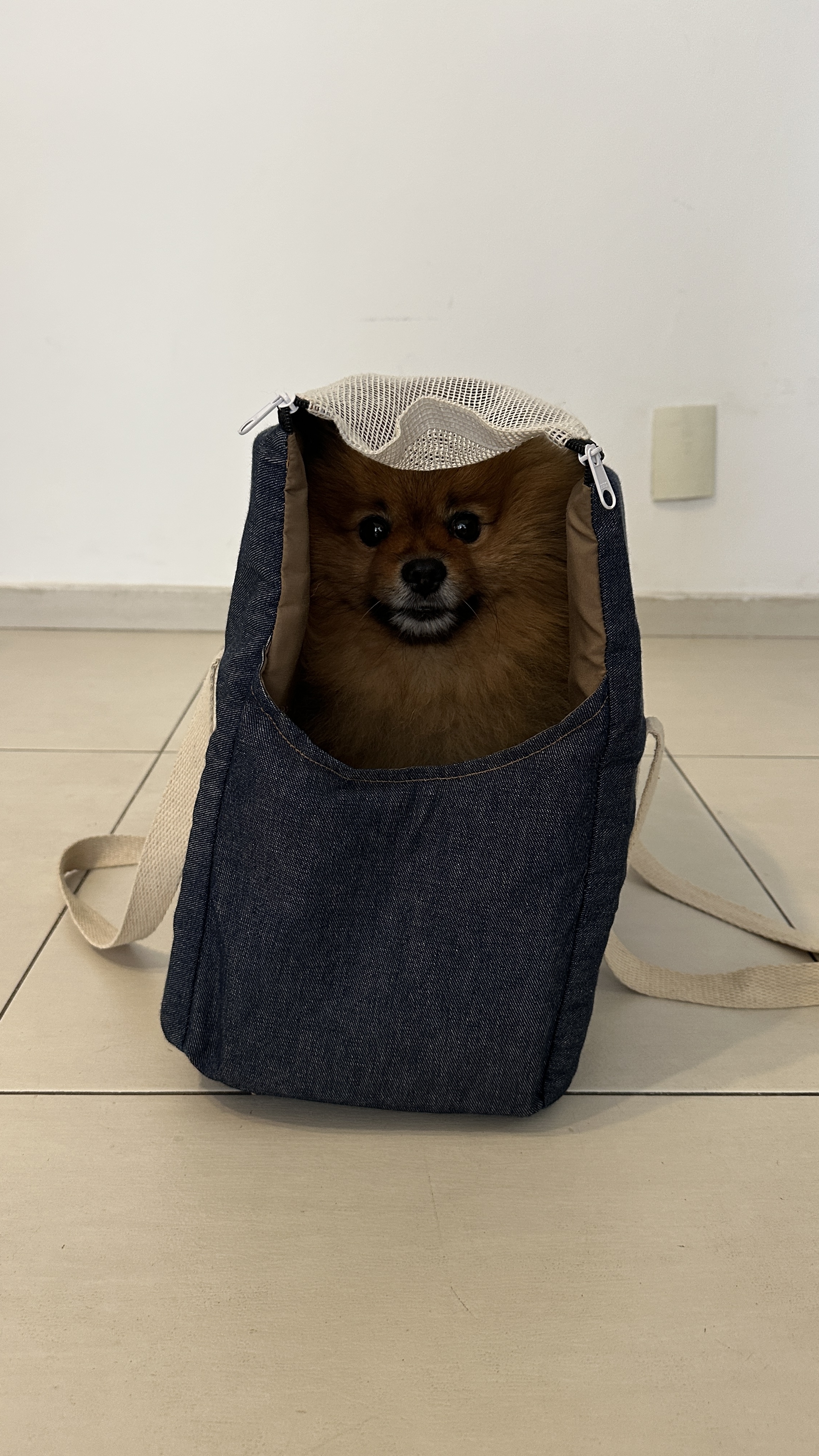 BOLSA TRANSPORTE  CACHORRO PEQUENO - PITOCO FICA