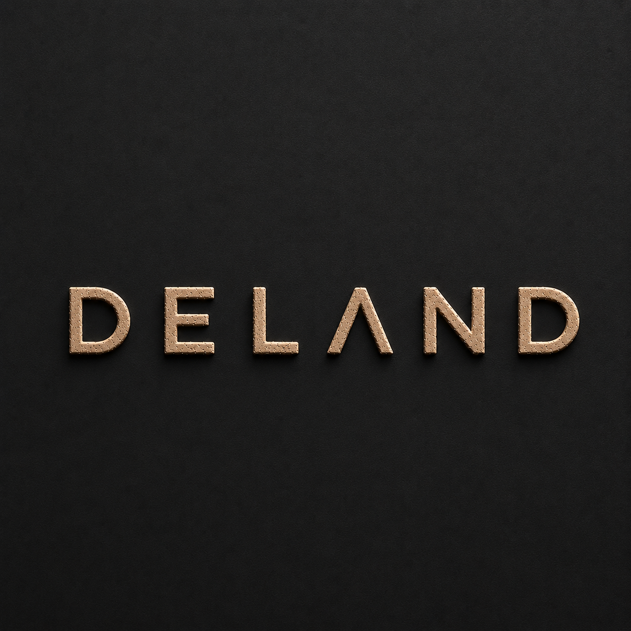 DeLand • Debary • Deltona • Orange City Drone Day | August 14 2026