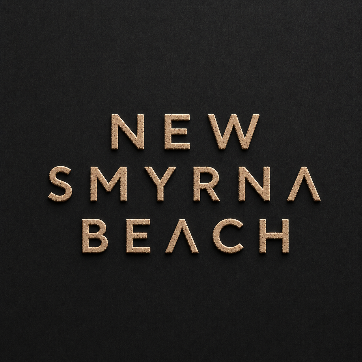 NSB • Edgewater Drone Day | August 10 2026
