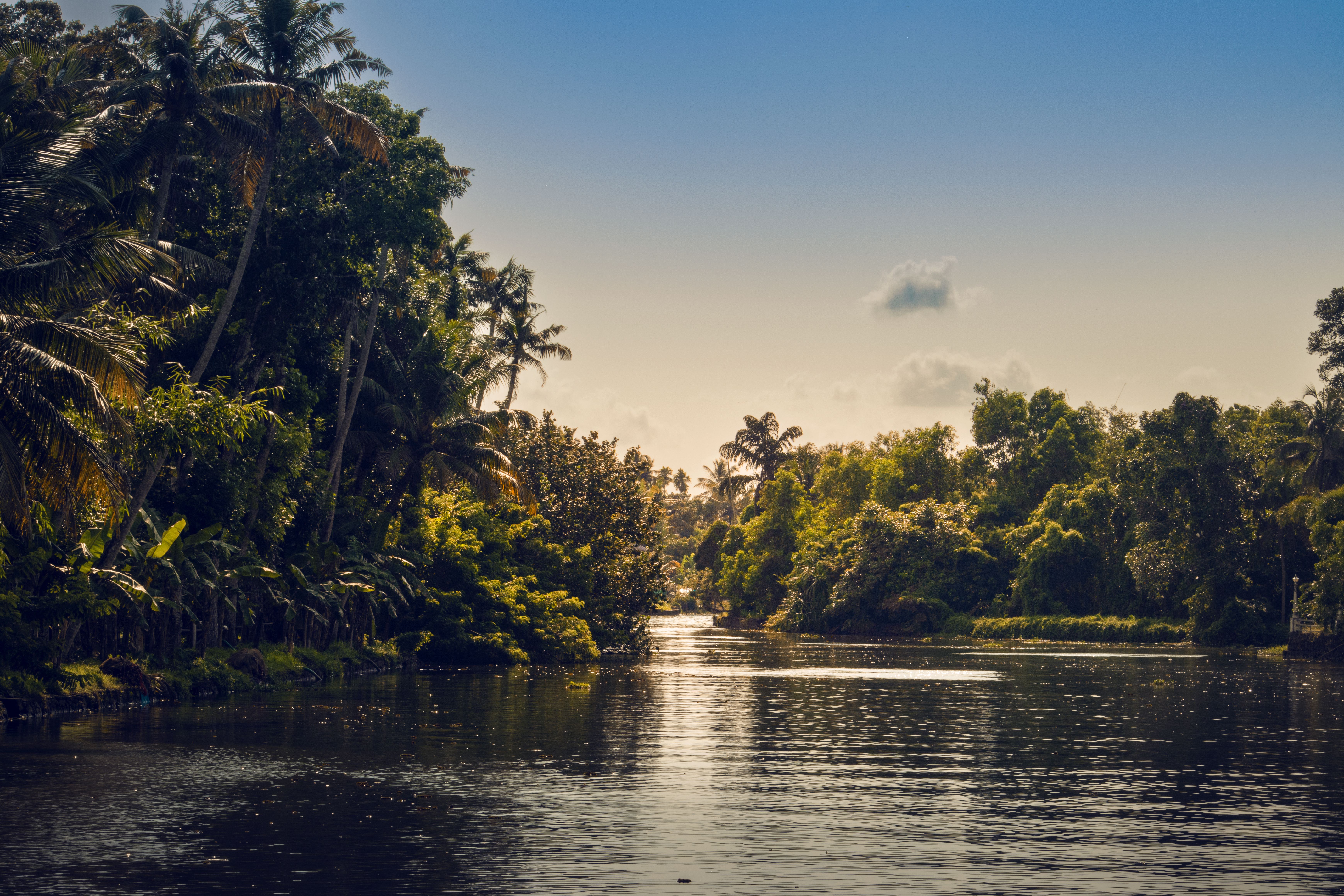 Kerala All-Inclusive Luxury Honeymoon & Family Tour