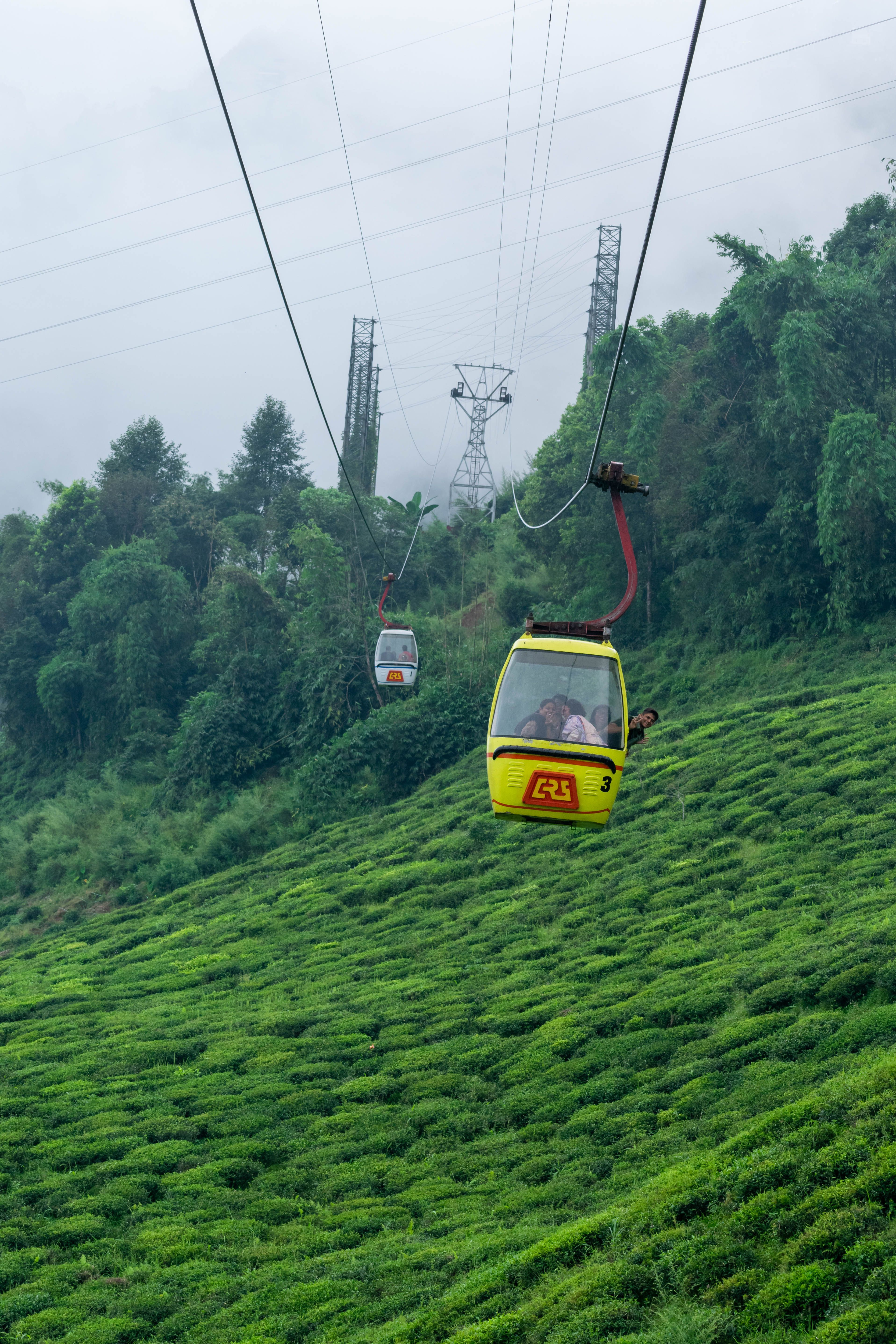 Exclusive Darjeeling Luxury Escape