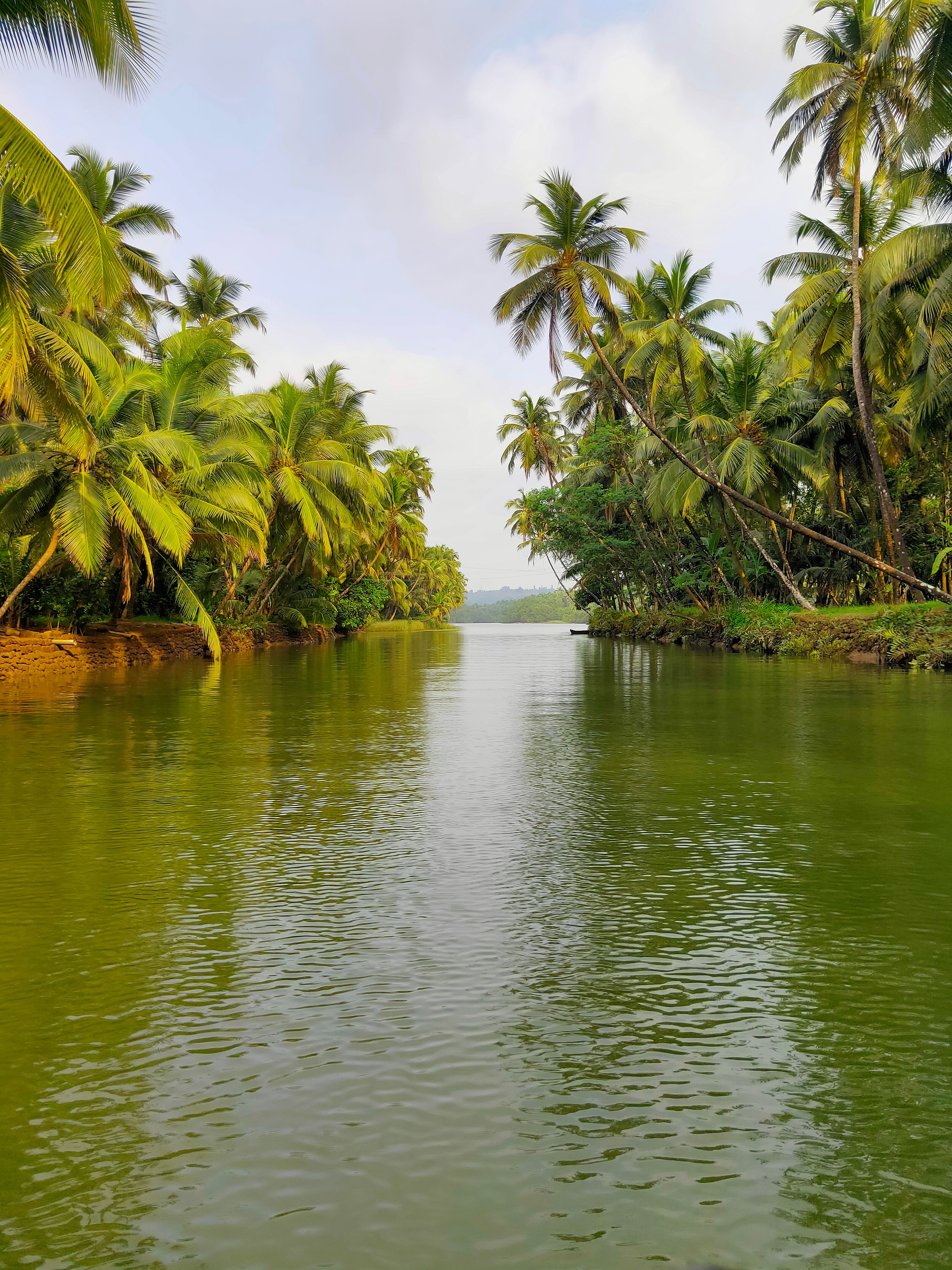 Kerala All-Inclusive Luxury Honeymoon & Family Tour