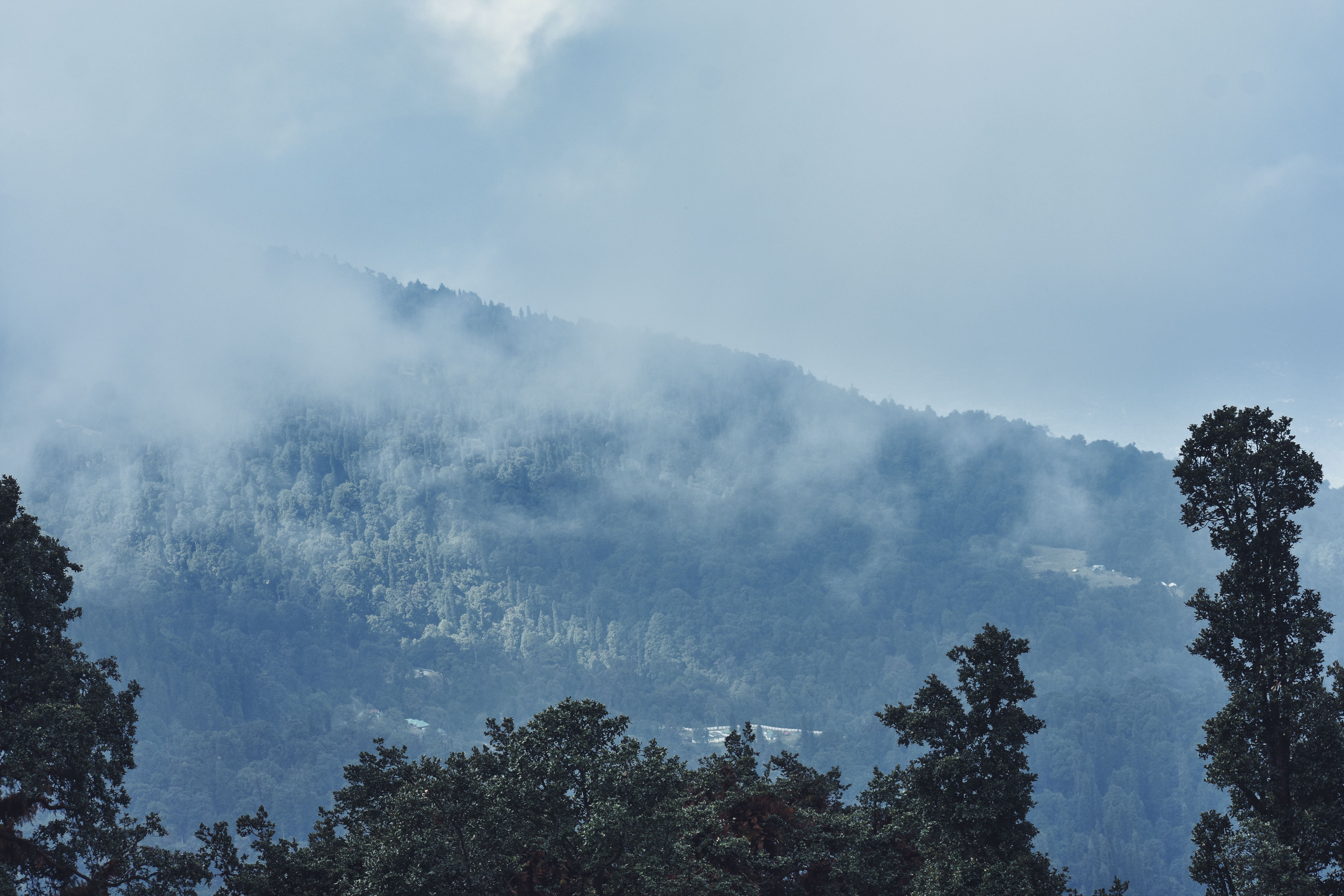 Manali Snow-View Premium Luxury Tour Package