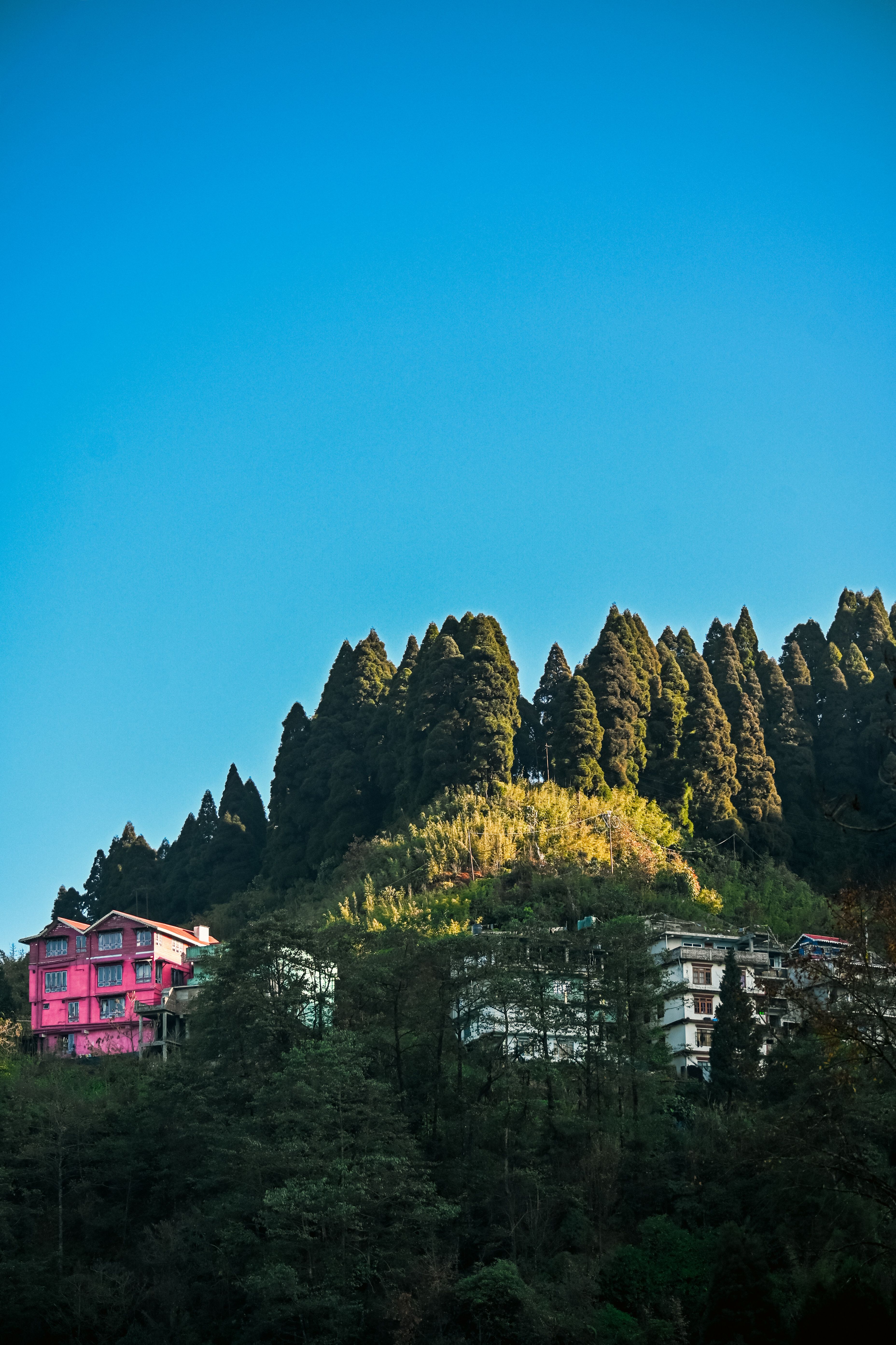 Darjeeling & Gangtok Premium Luxury Tour Package