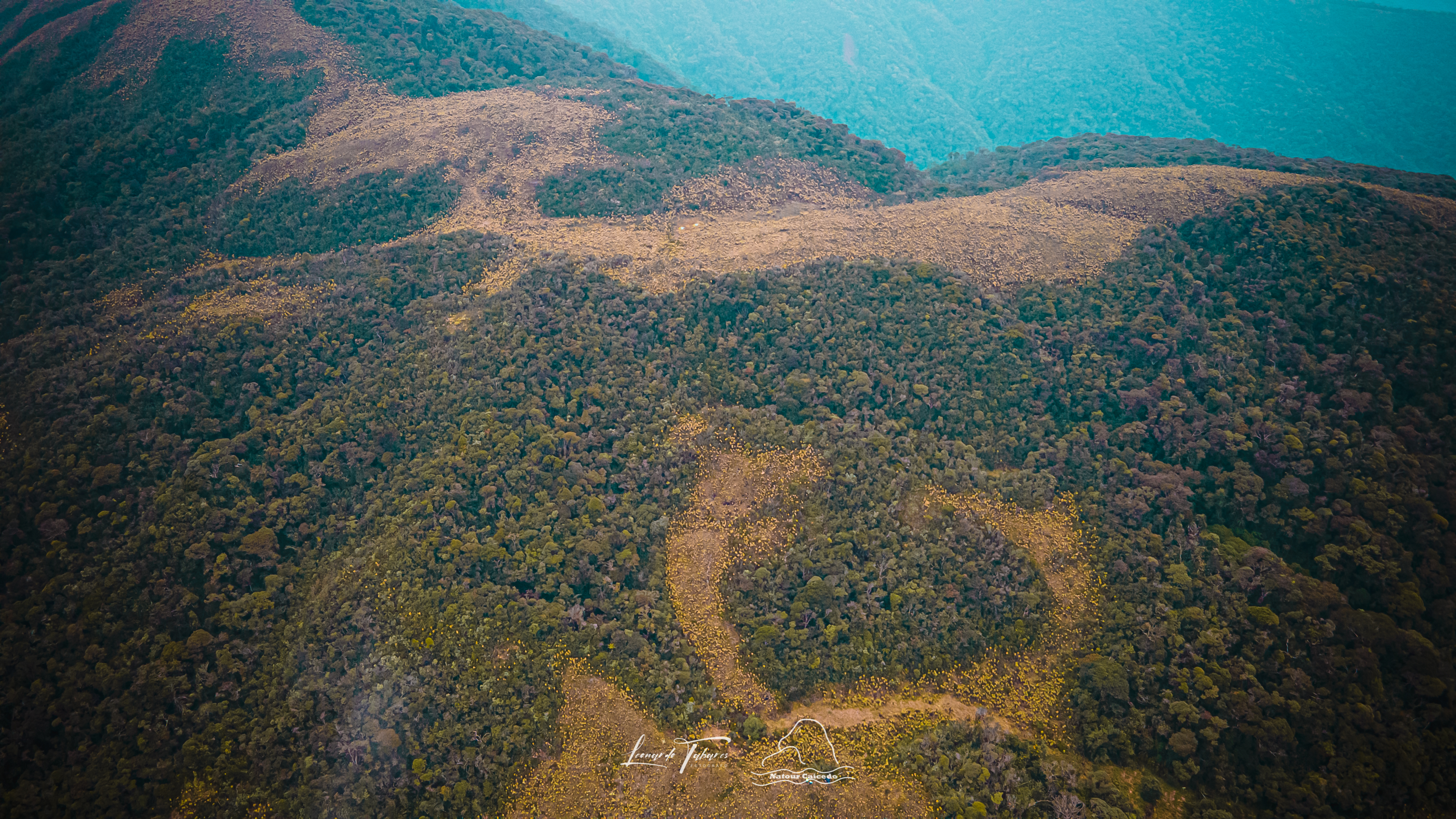 paramo pena 