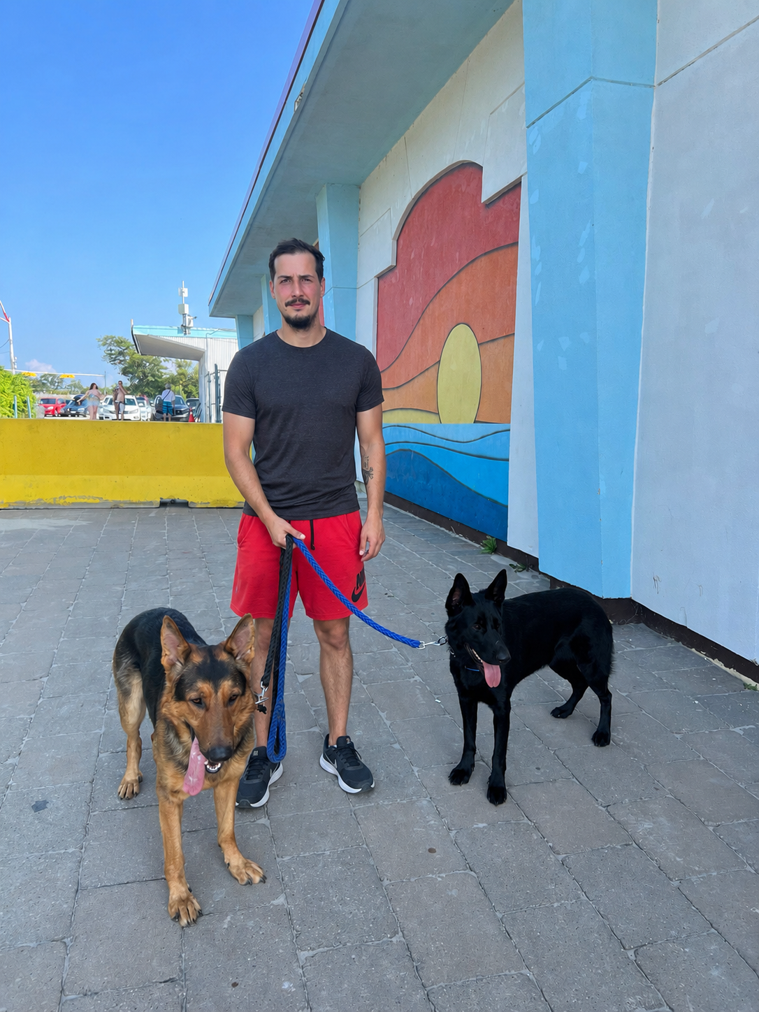 DOG WALKING
