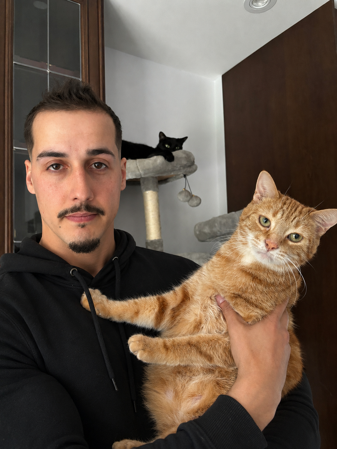 CAT SITTING