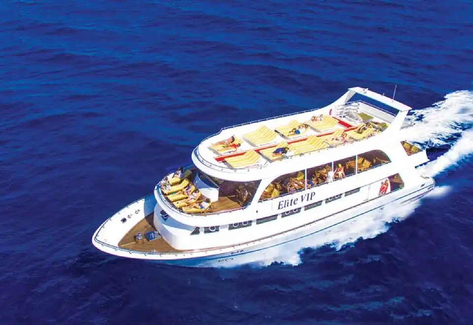 Full-Day Luxury Charter