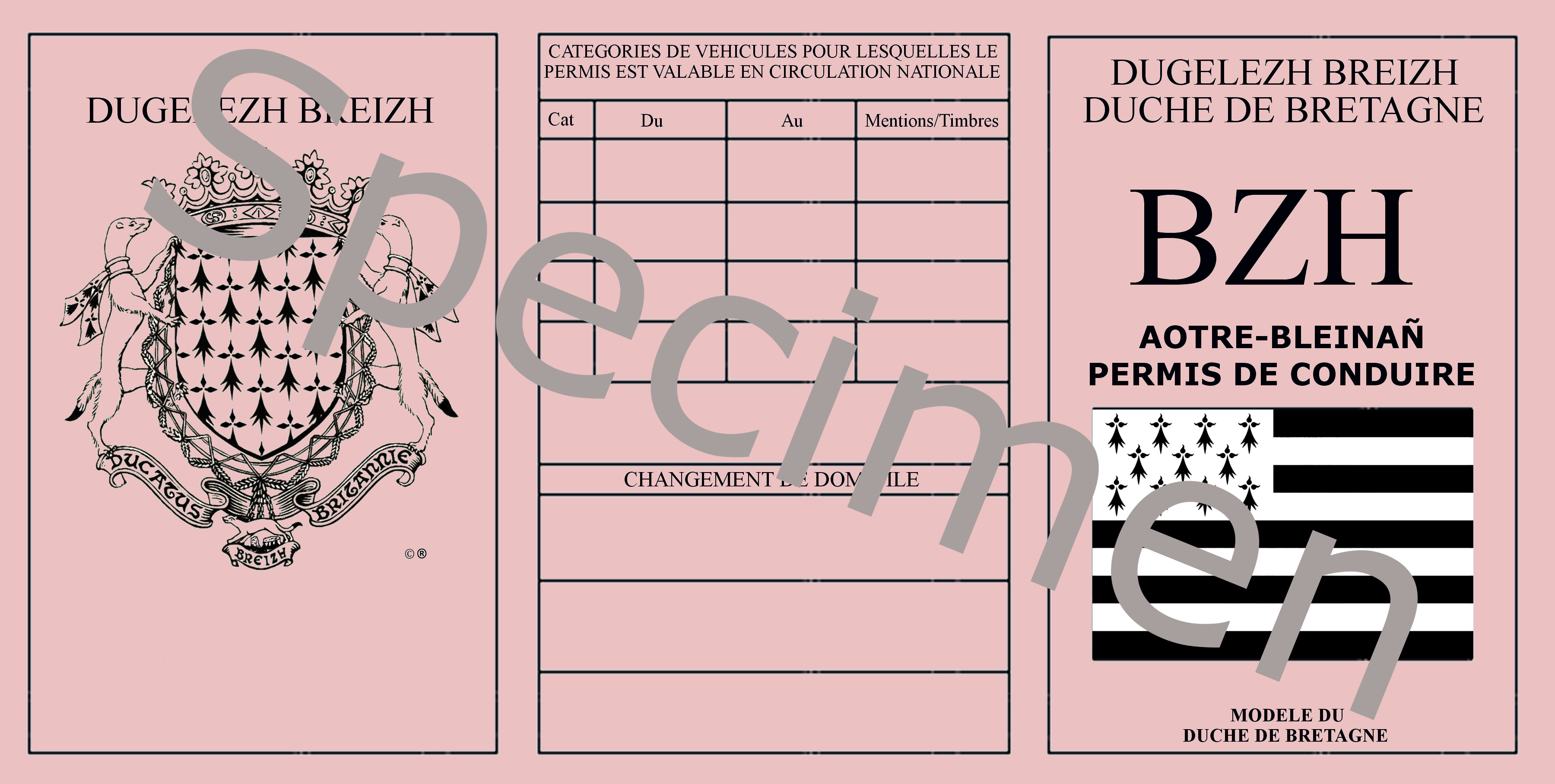 Permis Breton Officiel - Format Standard