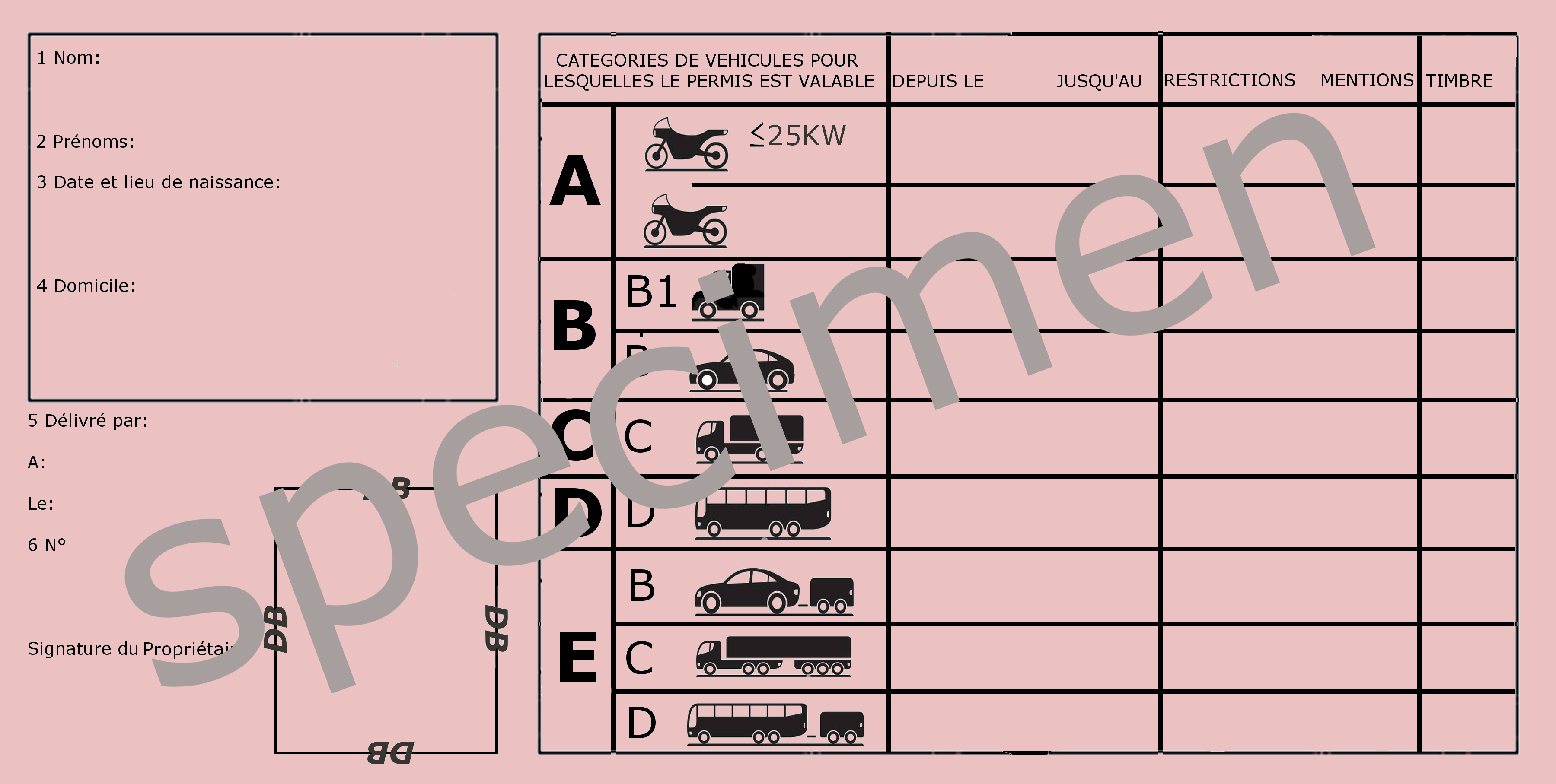 Permis Breton Officiel - Format Standard