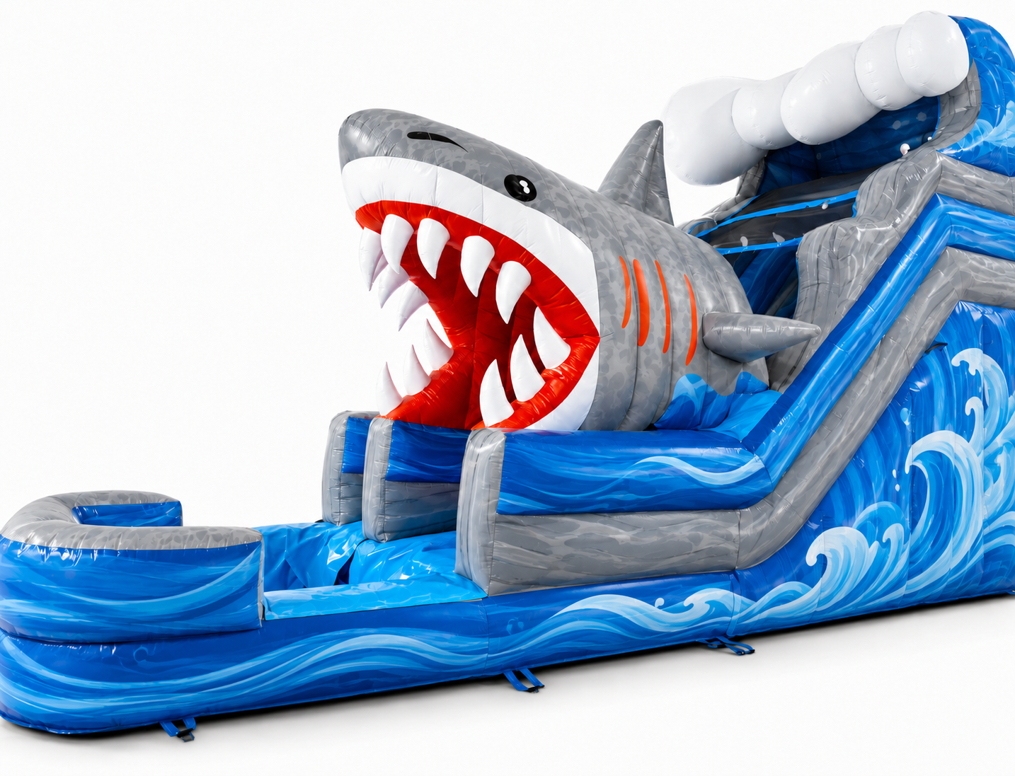 Shark Attack