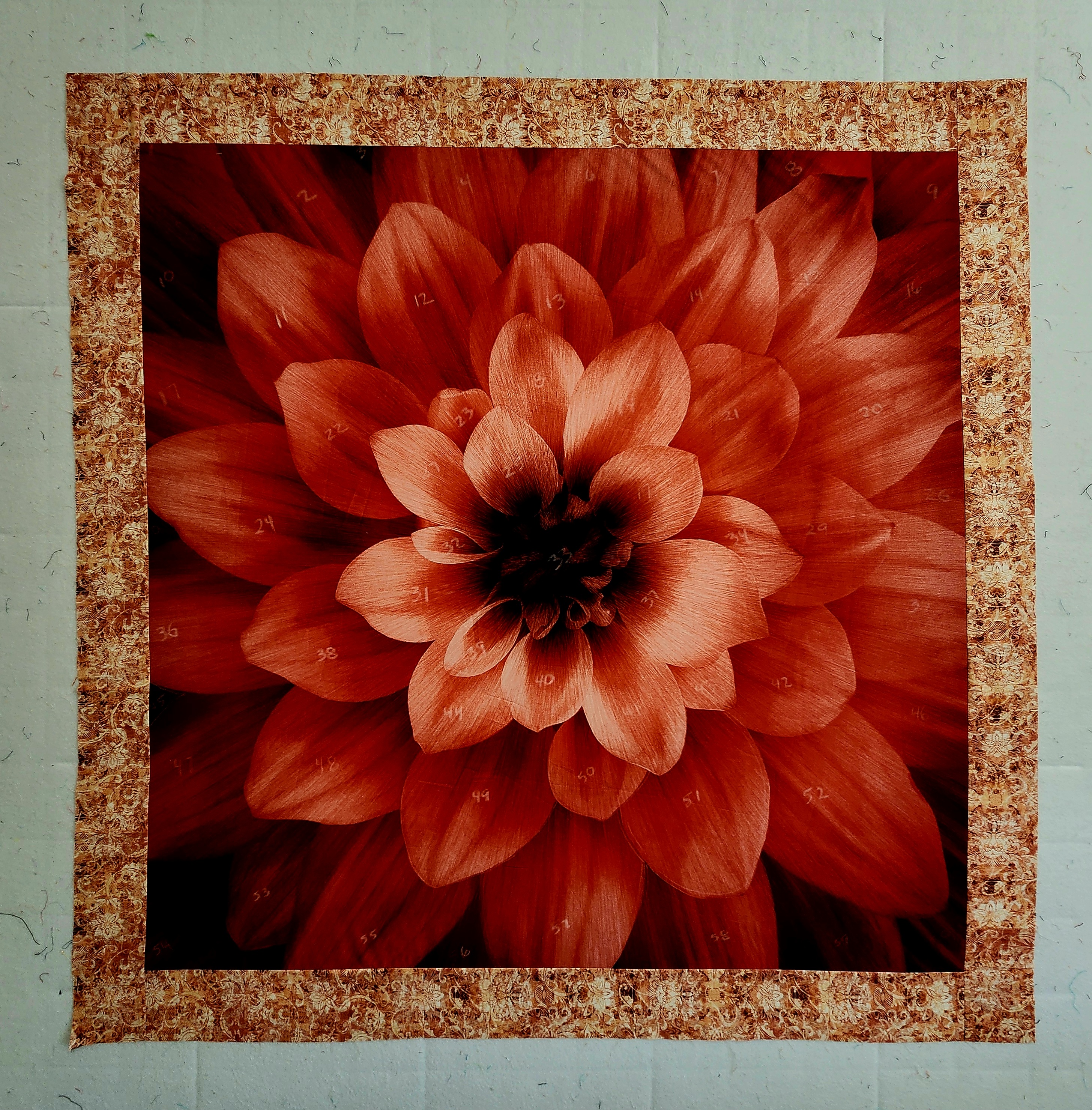 Dream Big Scarlett with Border