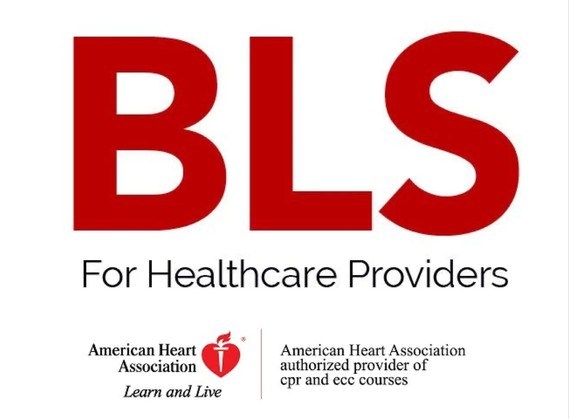 BLS Health Care Provider (Full Course)