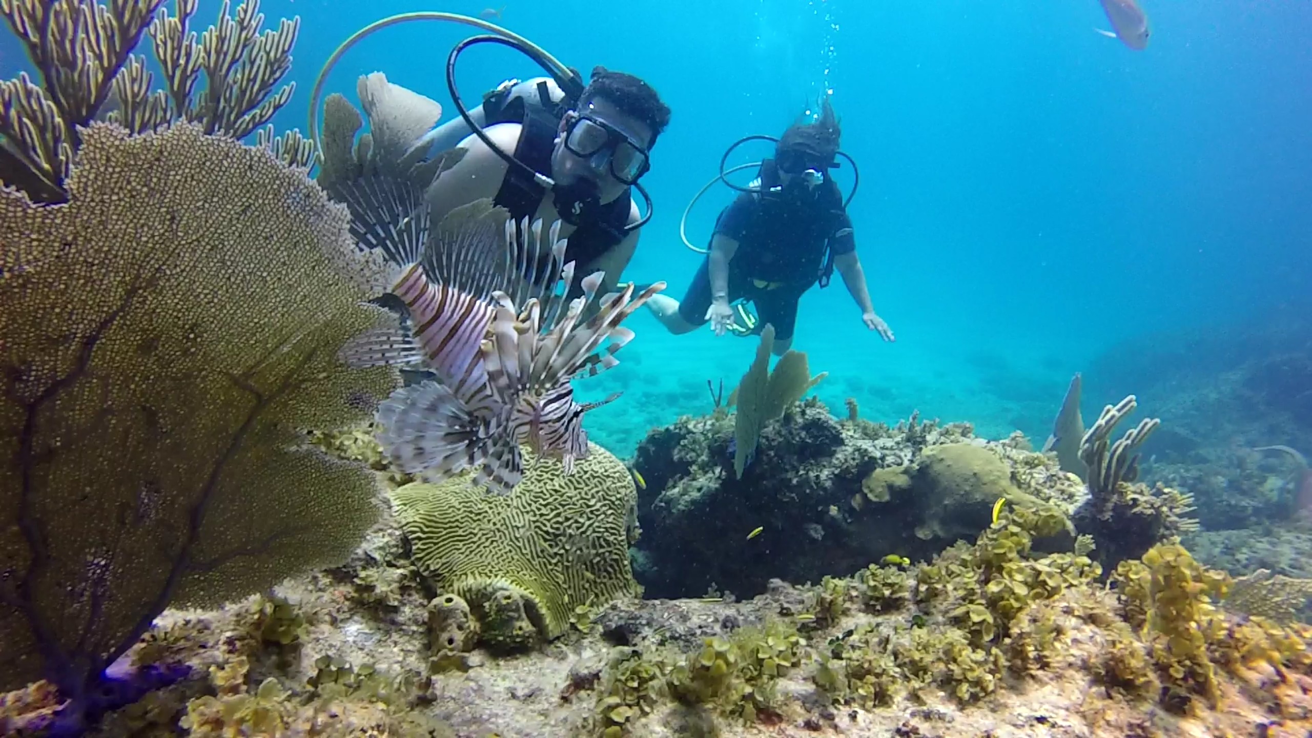 Bavaro Local Reef Double Tank Dive