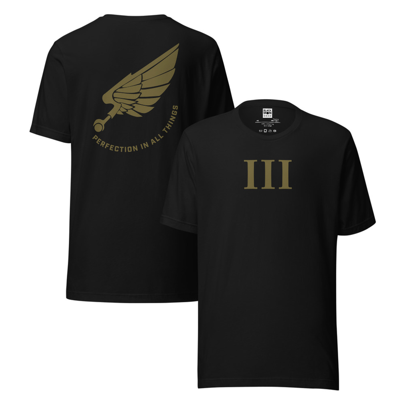 Chaos Emperor's Children | Perfection in All Things | Warhammer Inspired Shirt
