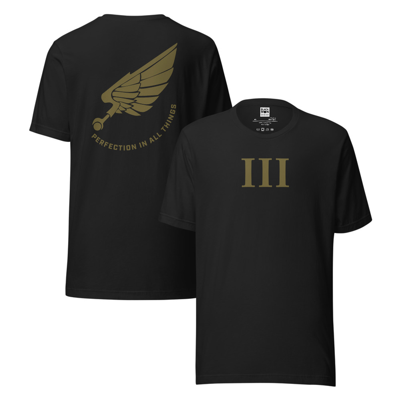 Chaos Emperor's Children | Perfection in All Things | Warhammer Inspired Shirt