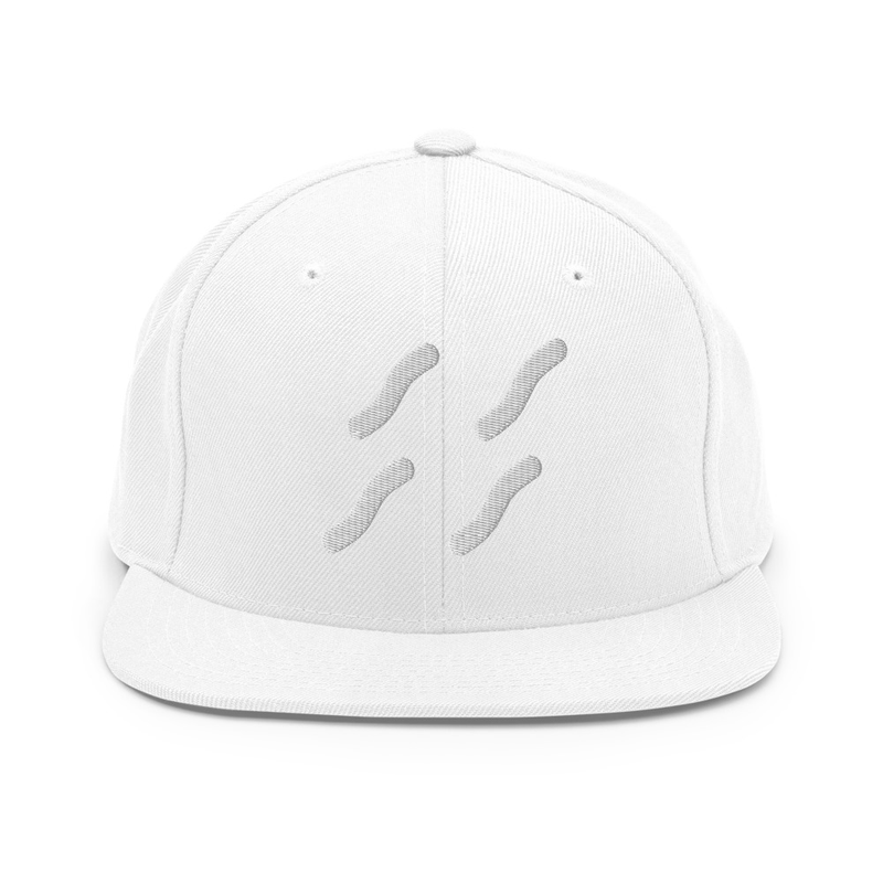 Snapback Hat