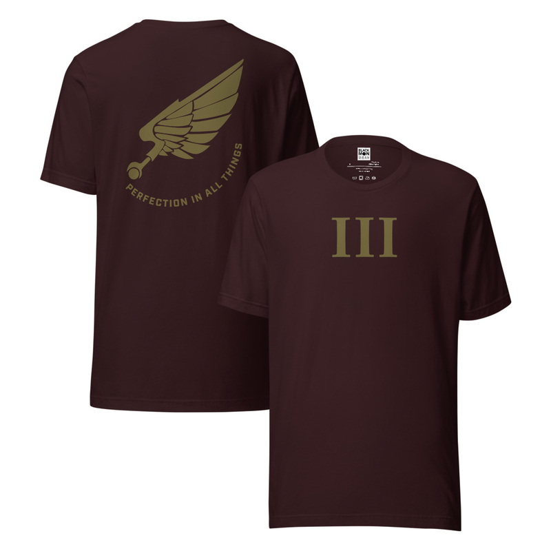 Chaos Emperor's Children | Perfection in All Things | Warhammer Inspired Shirt